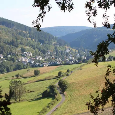 Large Detached In With Garden Vakantiehuis Willingen (Upland)