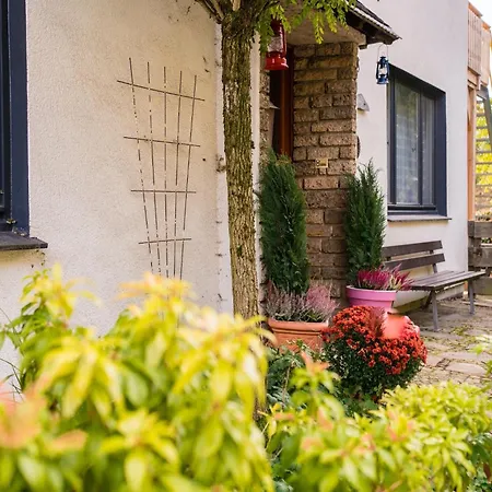Vakantiehuis Large Detached In With Garden Willingen (Upland)