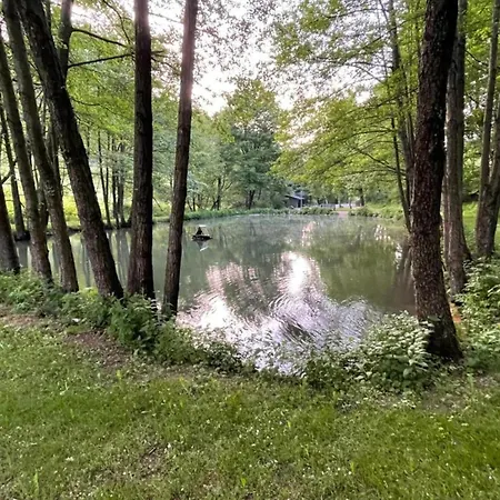 Large Detached In With Garden Vakantiehuis *