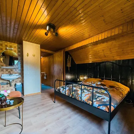 Vakantiehuis Large Detached In With Garden